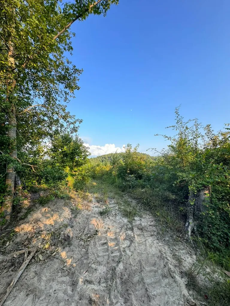 0 Al Highway 278 Guin AL 35563