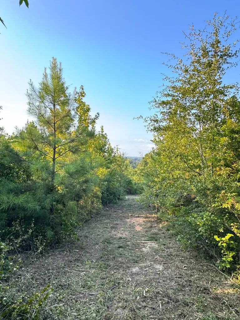 0 Al Highway 278 Guin AL 35563