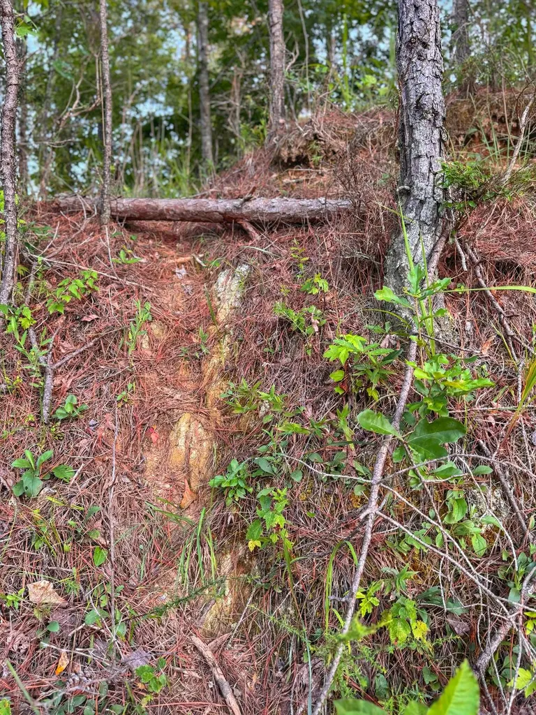 0 Al Highway 278 Guin AL 35563