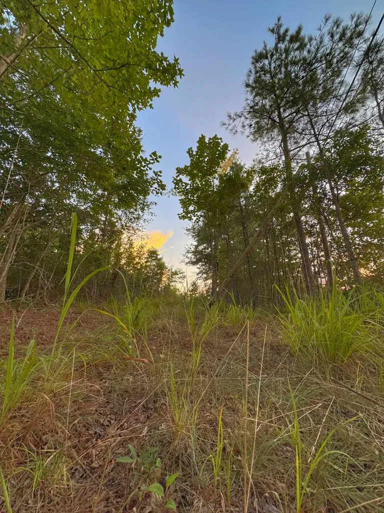 0 Al Highway 278 Guin AL 35563