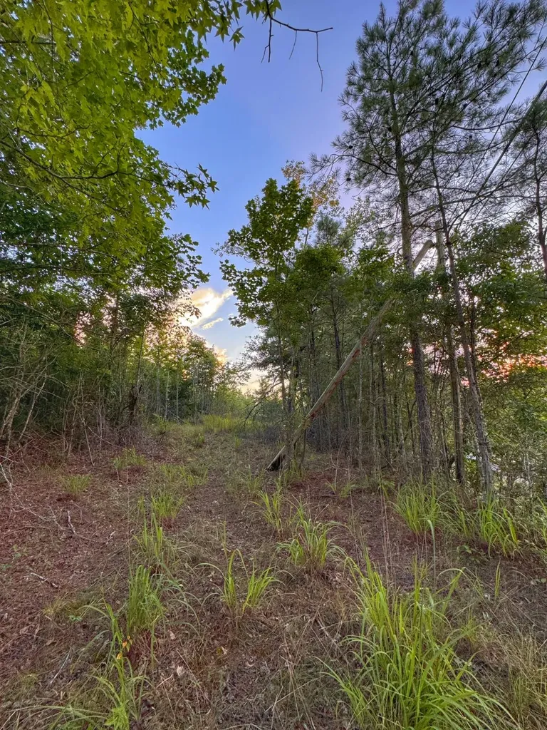 0 Al Highway 278 Guin AL 35563