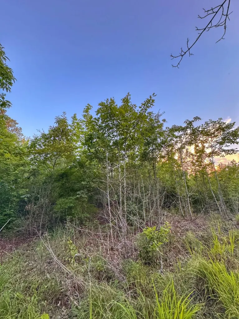 0 Al Highway 278 Guin AL 35563