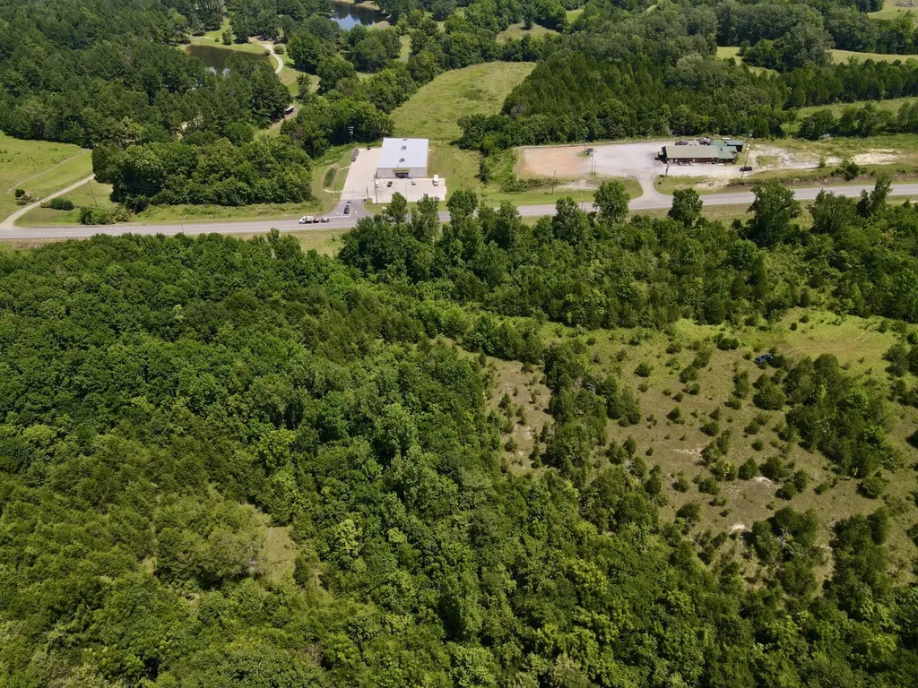 0 Highway 28 Livingston AL 35470