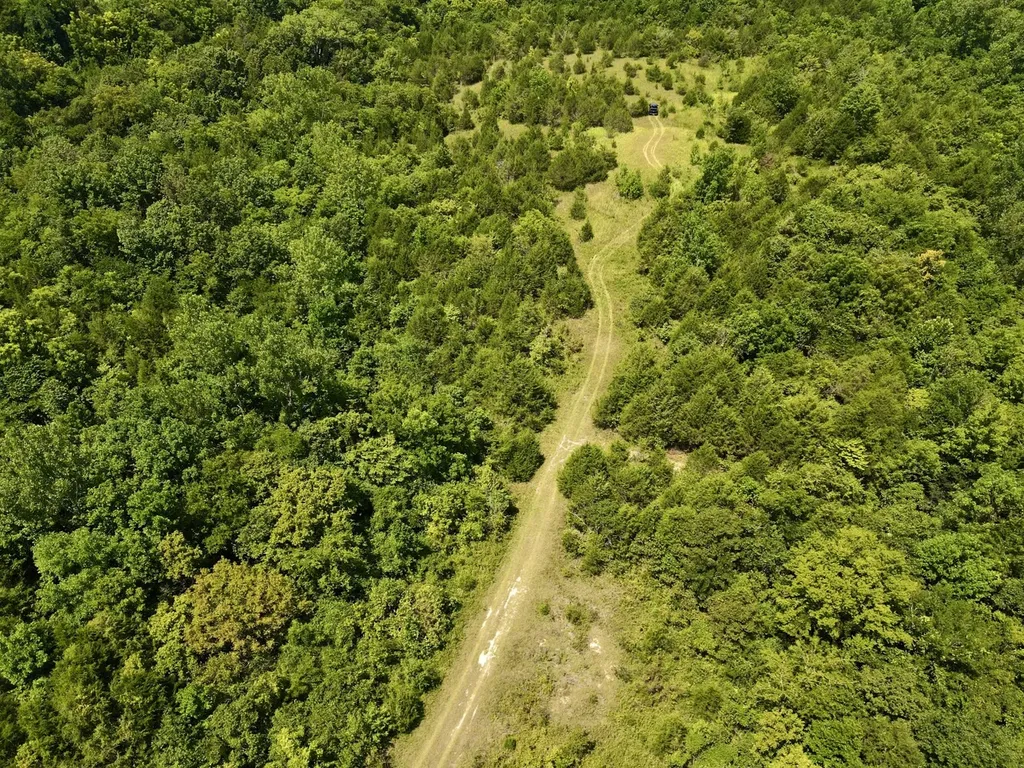 0 Highway 28 Livingston AL 35470