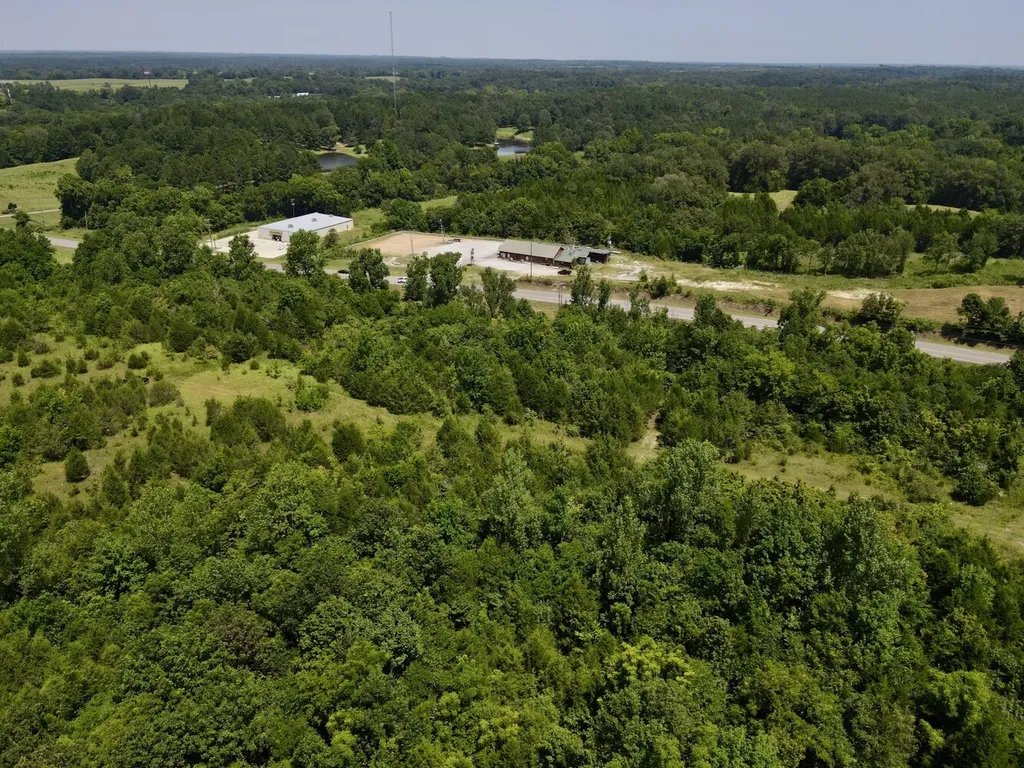 0 Highway 28 Livingston AL 35470