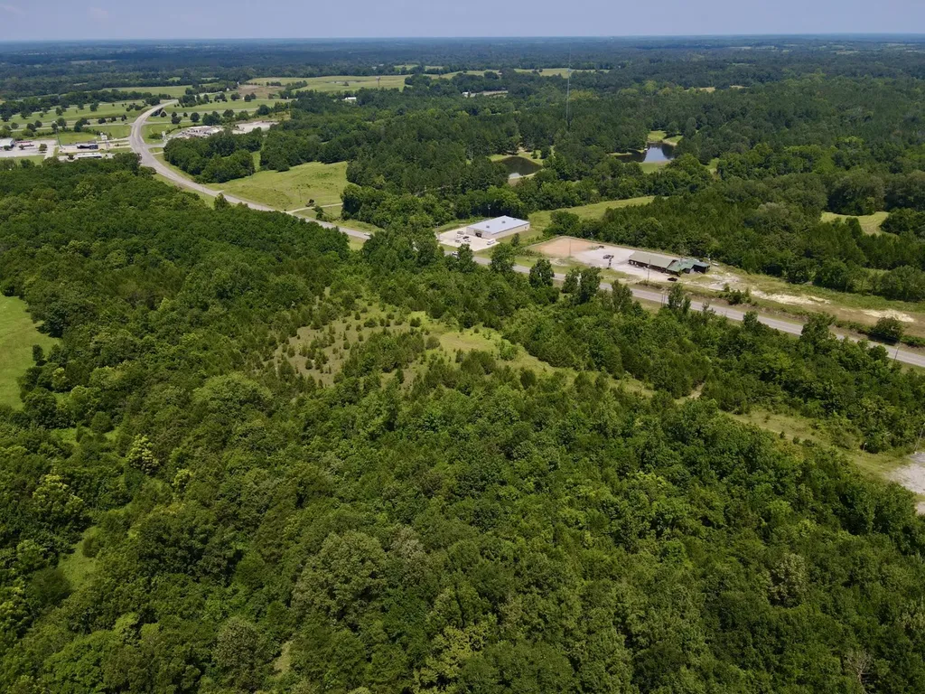 0 Highway 28 Livingston AL 35470