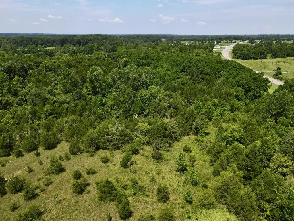 0 Highway 28 Livingston AL 35470