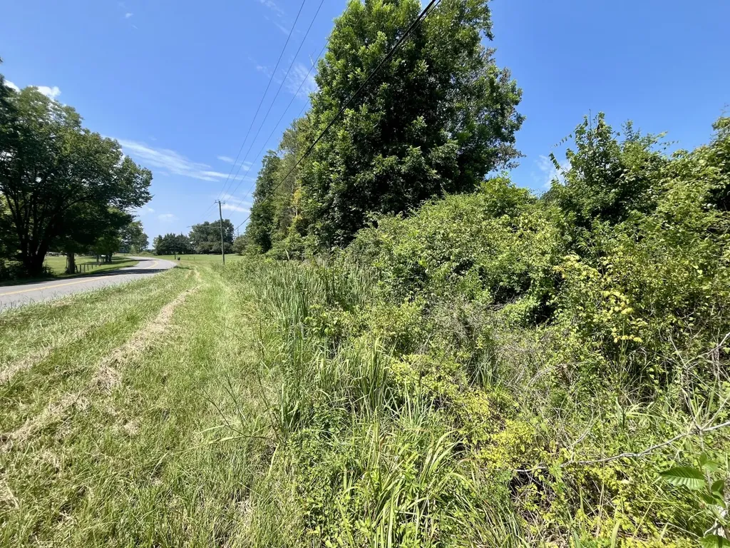0 Highway 28 Livingston AL 35470