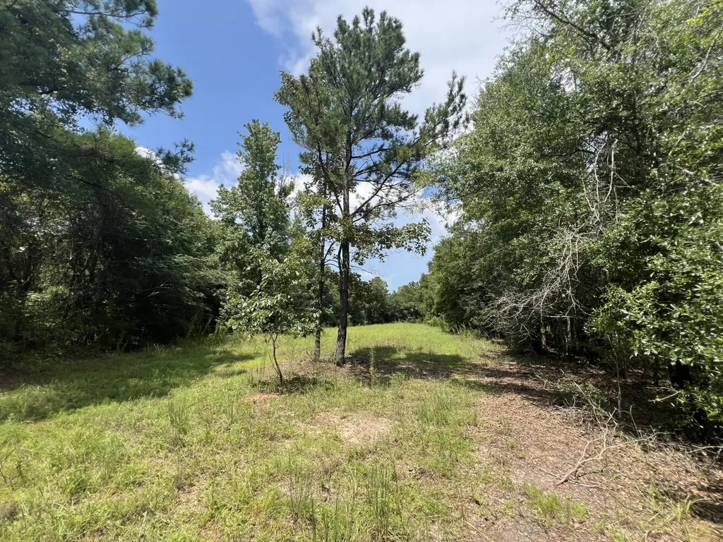 0 Pate Road Newton AL 36352