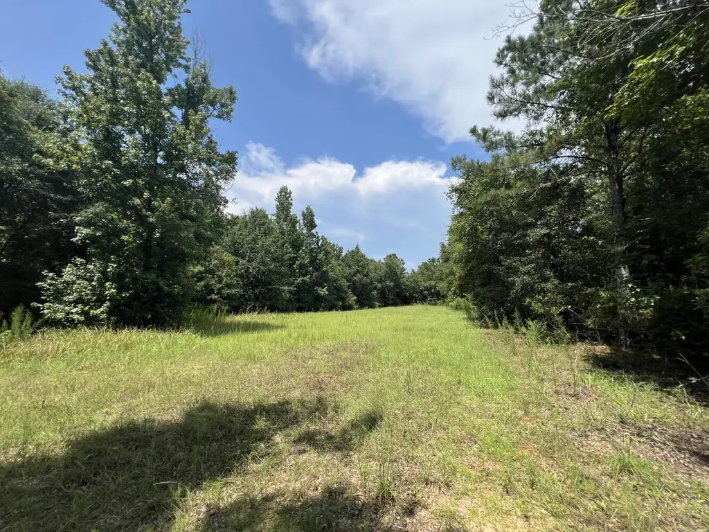 0 Pate Road Newton AL 36352