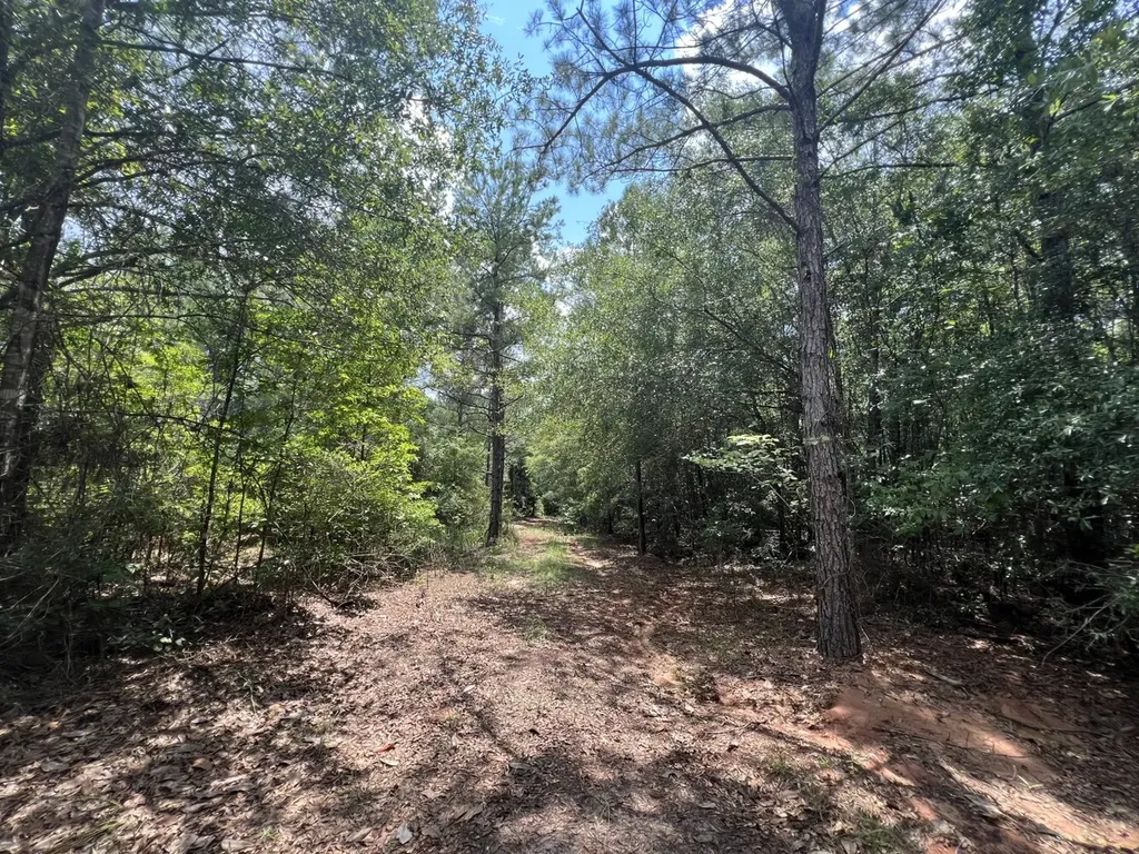 0 Pate Road Newton AL 36352