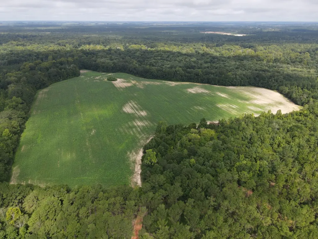 0 Pate Road Newton AL 36352
