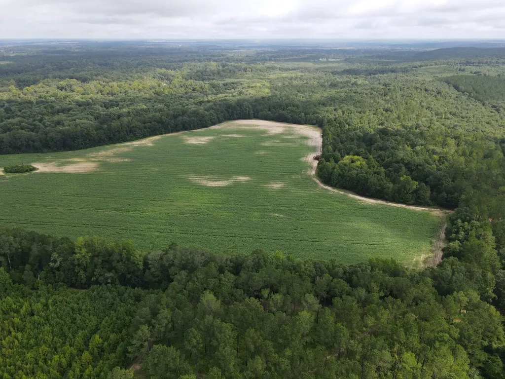 0 Pate Road Newton AL 36352