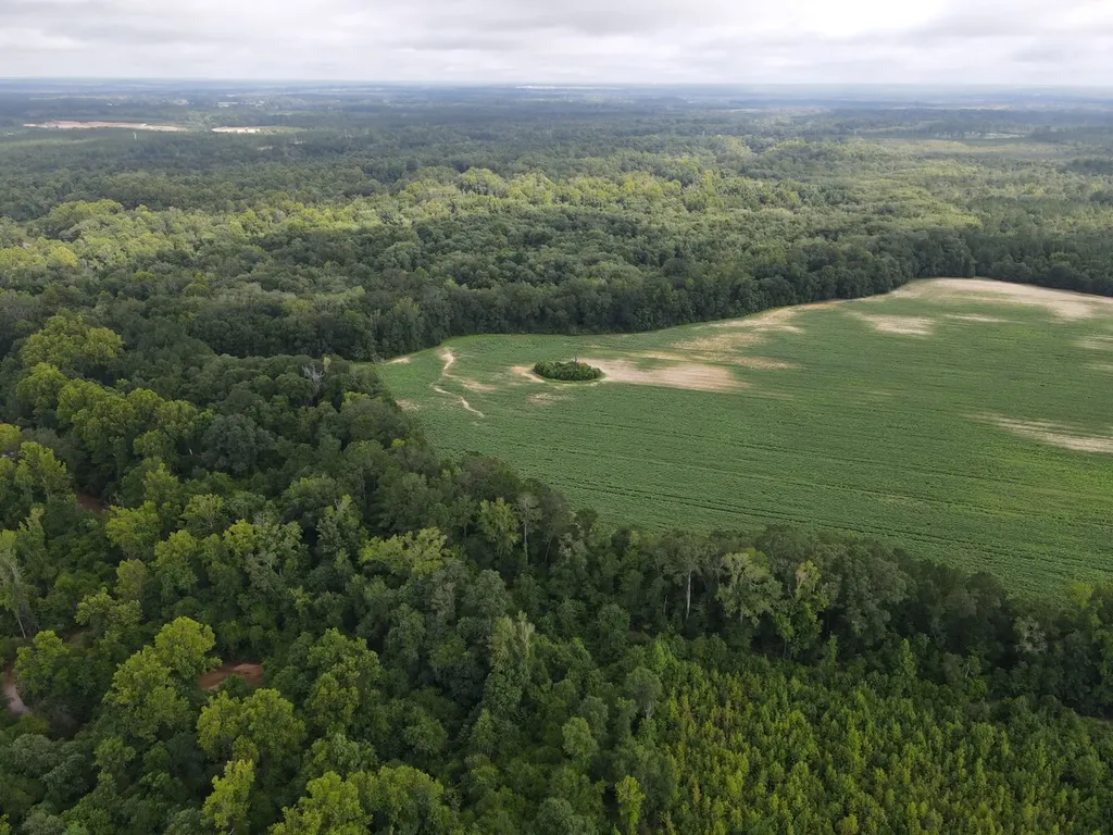 0 Pate Road Newton AL 36352