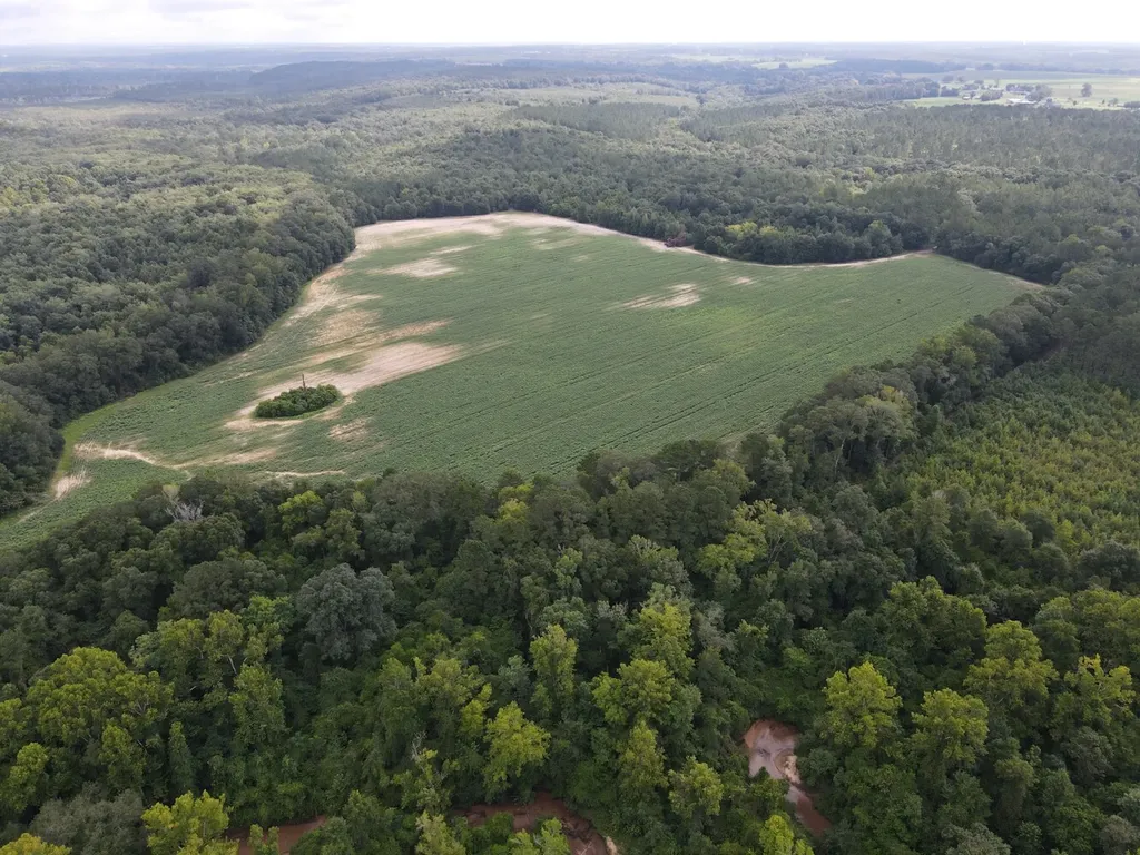 0 Pate Road Newton AL 36352