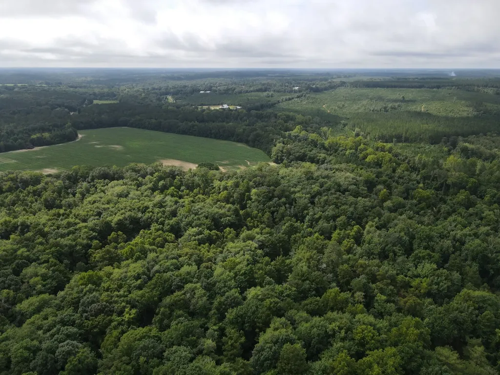 0 Pate Road Newton AL 36352