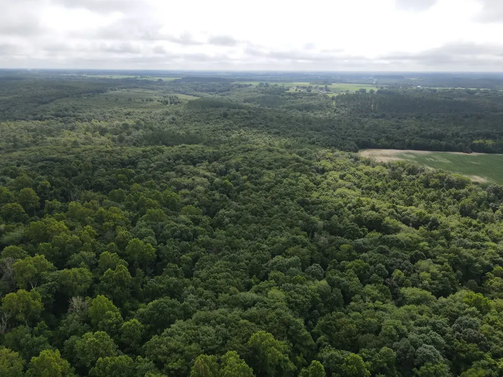 0 Pate Road Newton AL 36352
