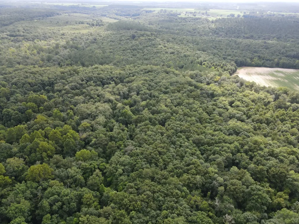 0 Pate Road Newton AL 36352