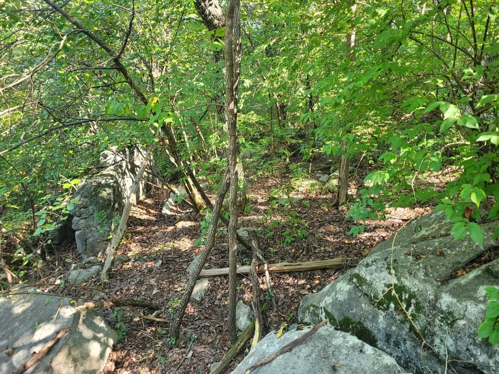 7609 Foxfire Drive SE Huntsville AL 35802