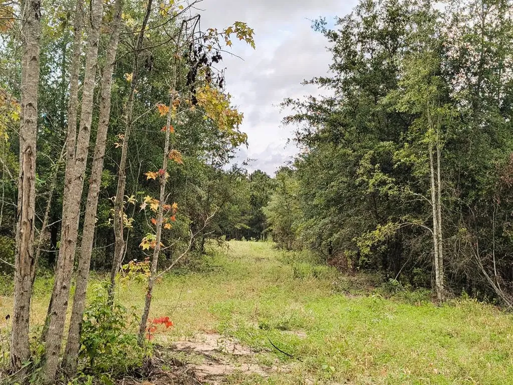 0 Grimsley Road Gordon AL 36343