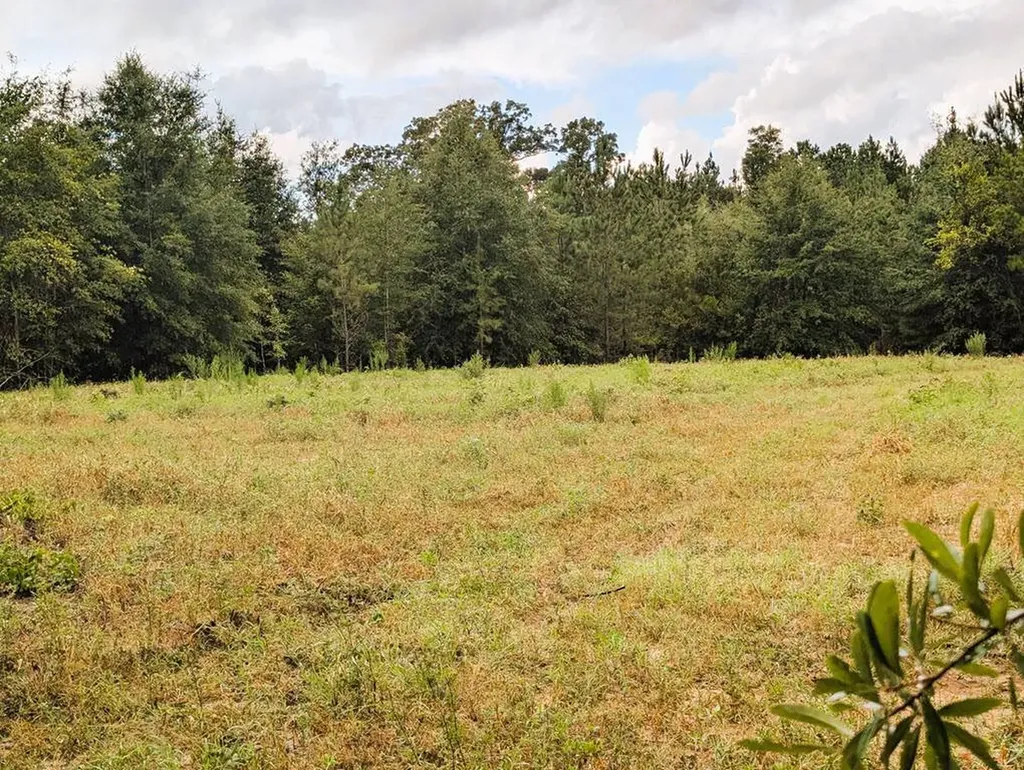 0 Grimsley Road Gordon AL 36343