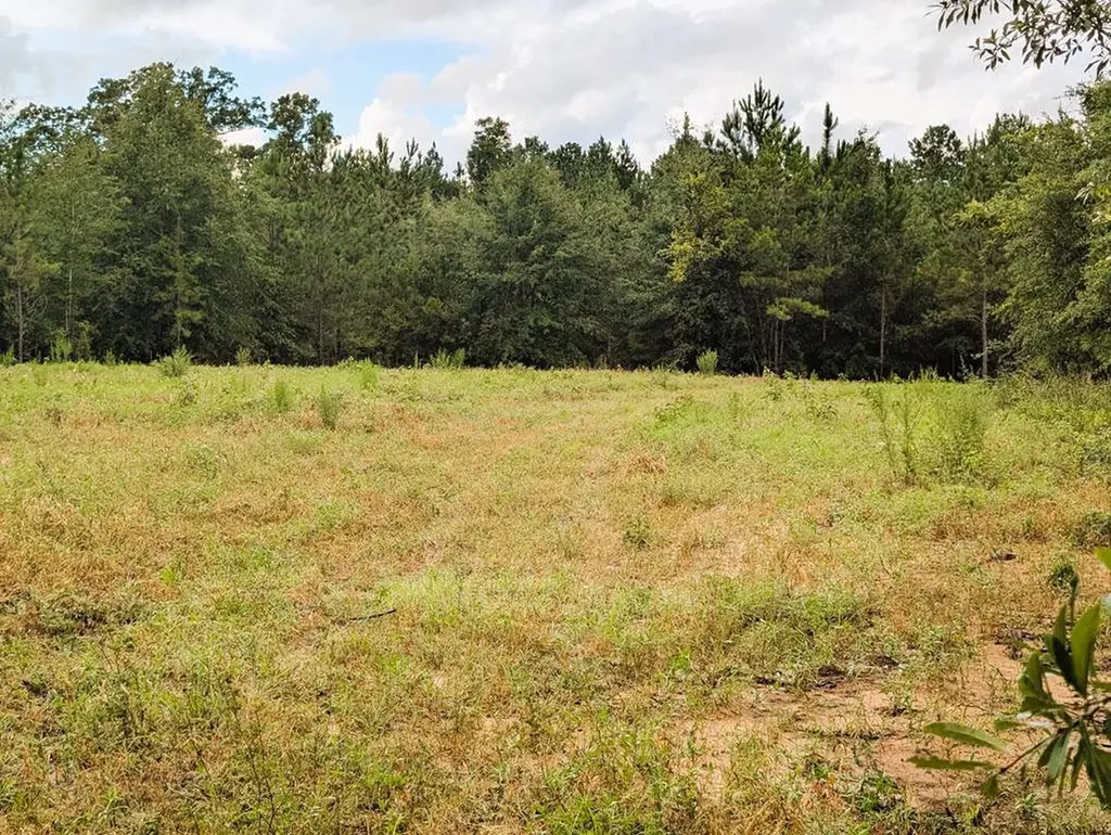 0 Grimsley Road Gordon AL 36343