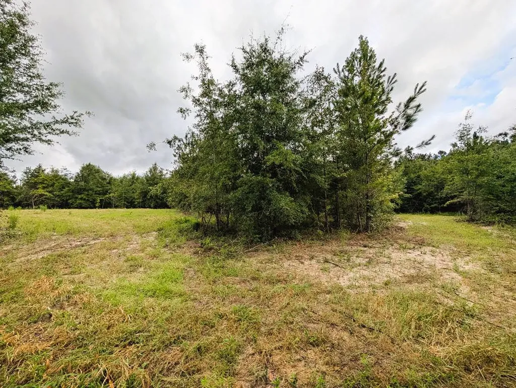 0 Grimsley Road Gordon AL 36343