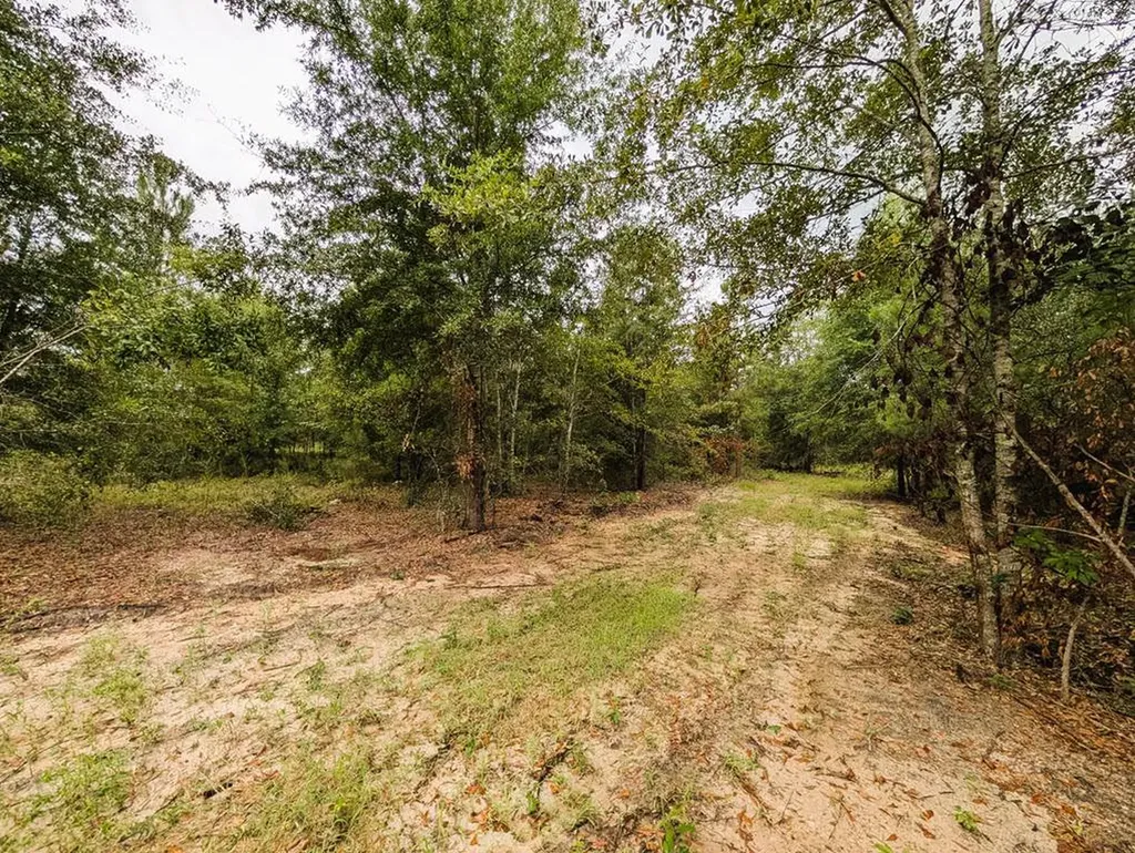 0 Grimsley Road Gordon AL 36343