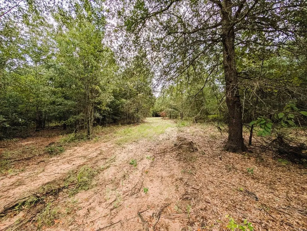 0 Grimsley Road Gordon AL 36343