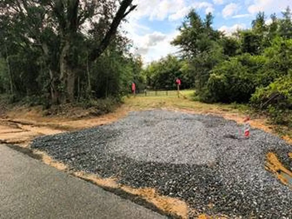 0 Grimsley Road Gordon AL 36343