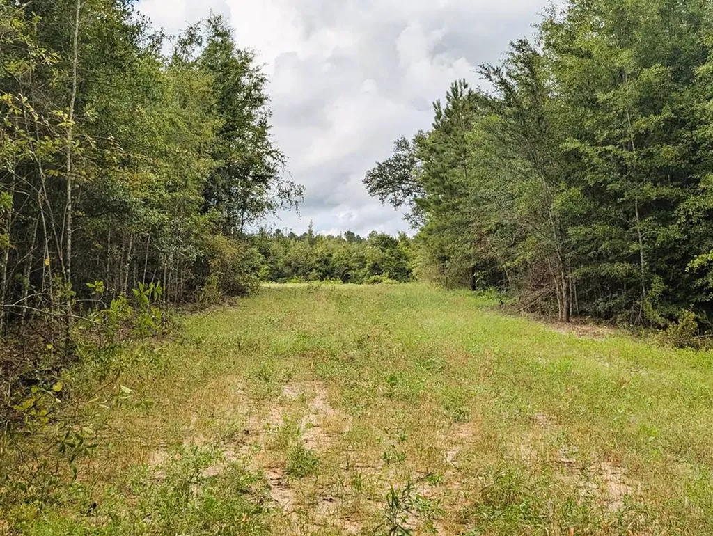 0 Grimsley Road Gordon AL 36343