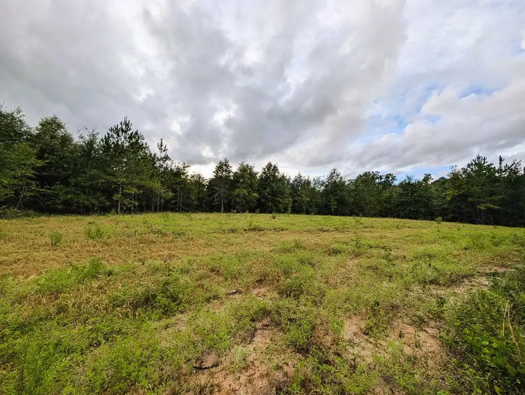 0 Grimsley Road Gordon AL 36343