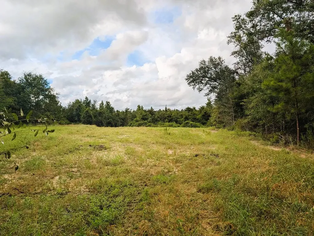 0 Grimsley Road Gordon AL 36343