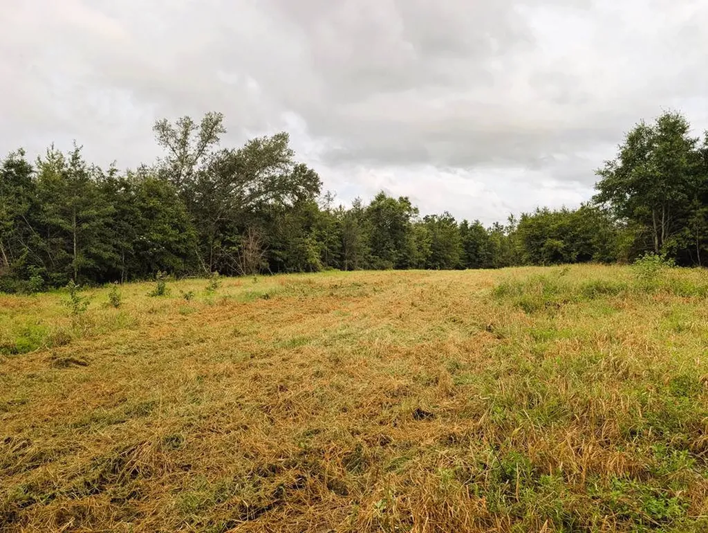 0 Grimsley Road Gordon AL 36343