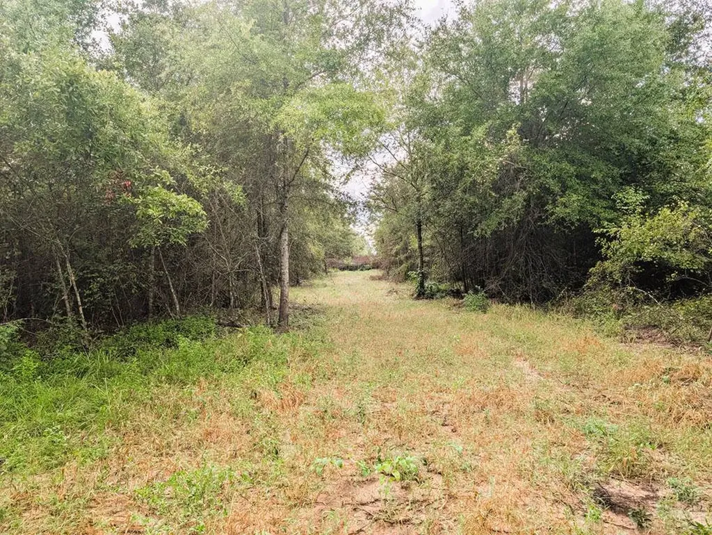 0 Grimsley Road Gordon AL 36343