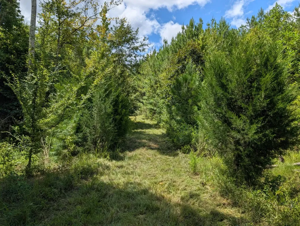 1686 County Road 4 Thomasville AL 36784