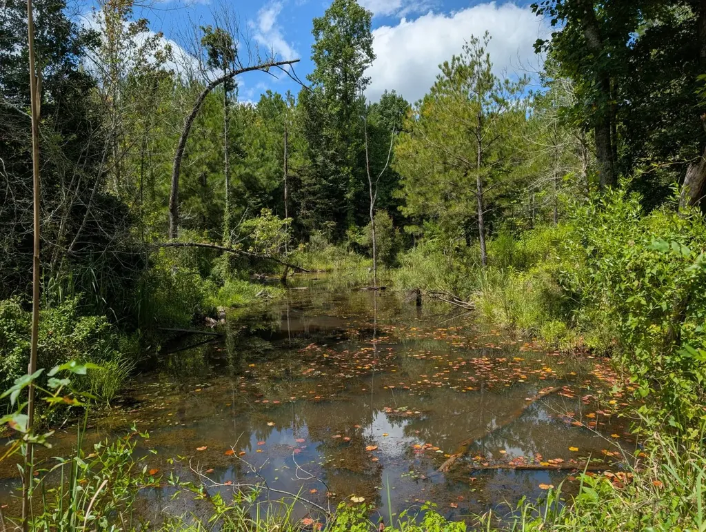 1686 County Road 4 Thomasville AL 36784