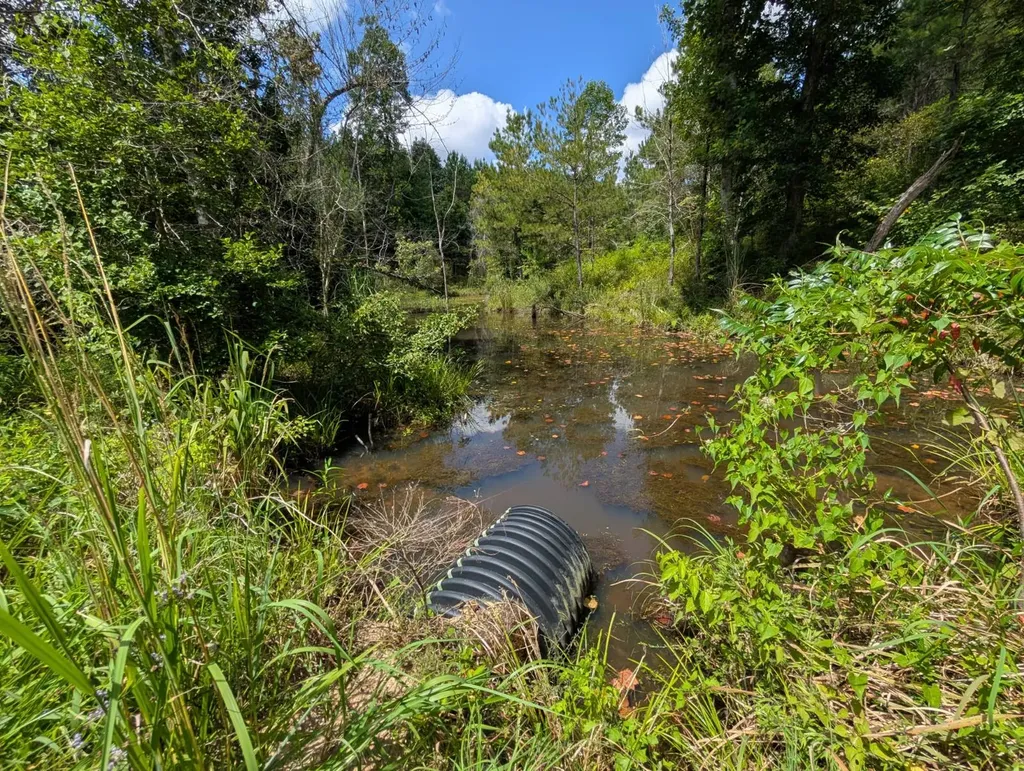 1686 County Road 4 Thomasville AL 36784