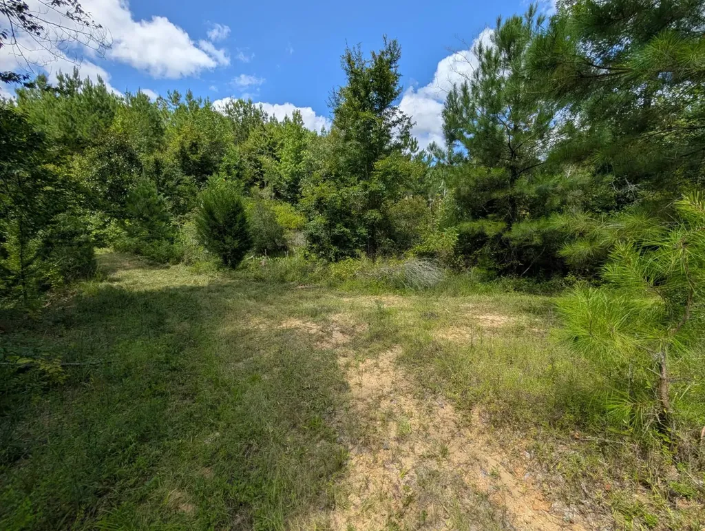 1686 County Road 4 Thomasville AL 36784