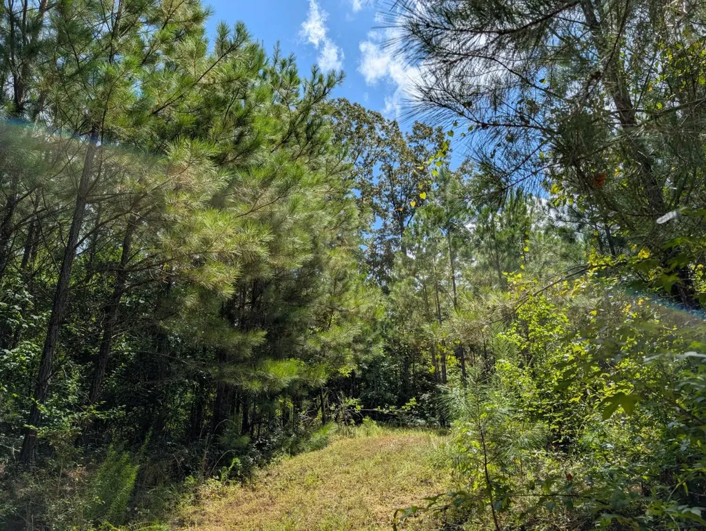 1686 County Road 4 Thomasville AL 36784