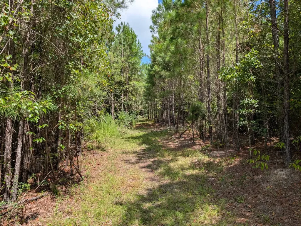 1686 County Road 4 Thomasville AL 36784