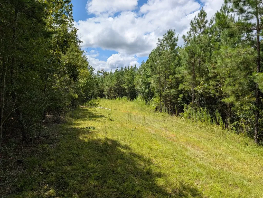 1686 County Road 4 Thomasville AL 36784