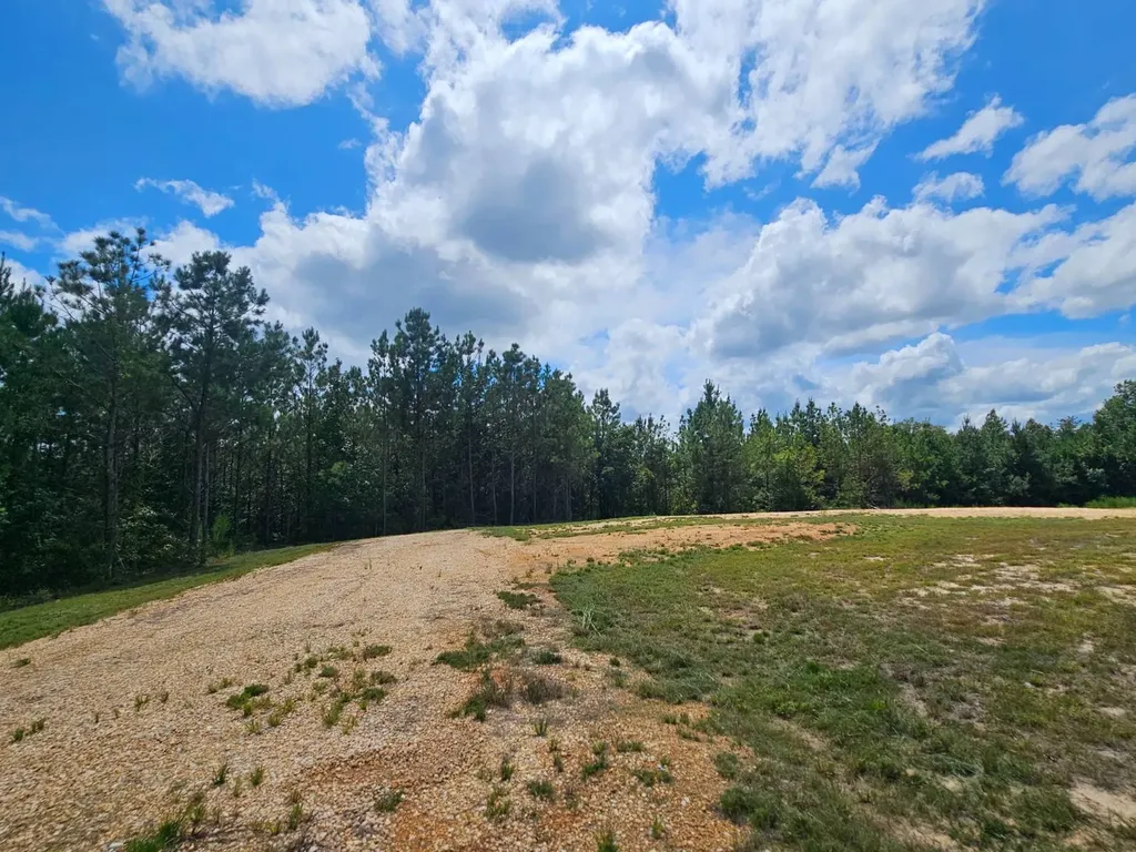 1686 County Road 4 Thomasville AL 36784