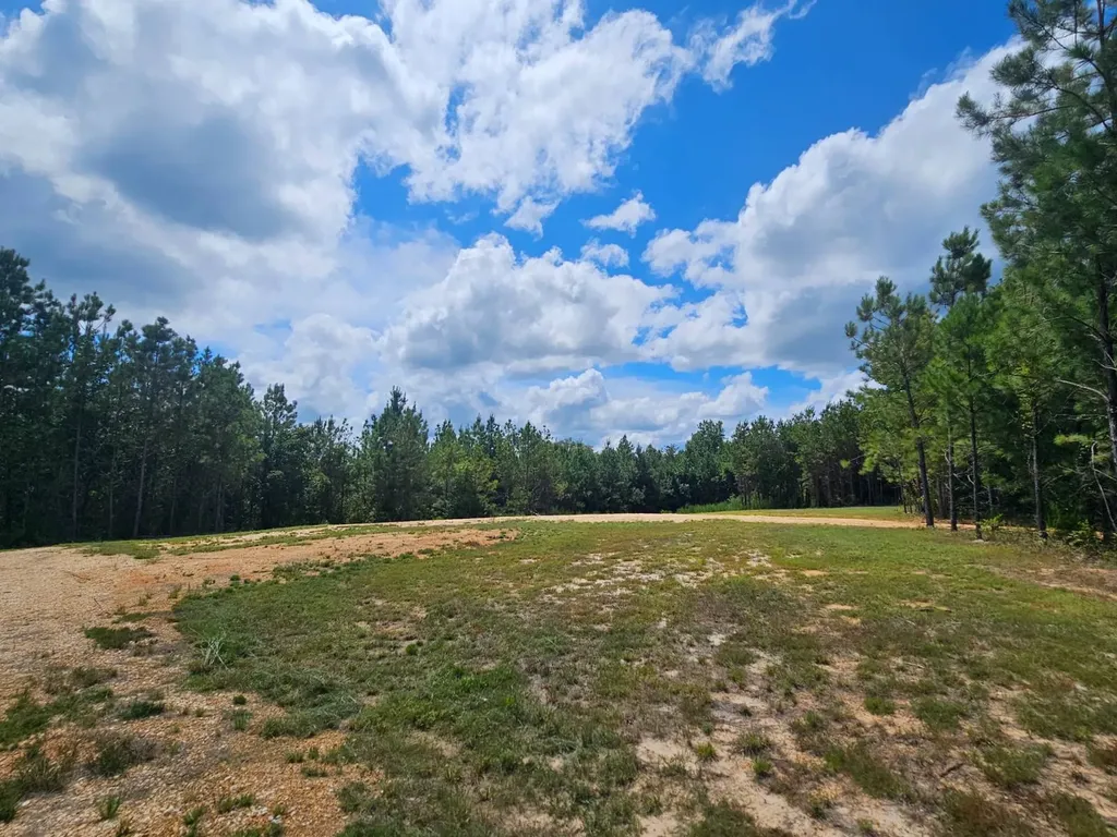 1686 County Road 4 Thomasville AL 36784