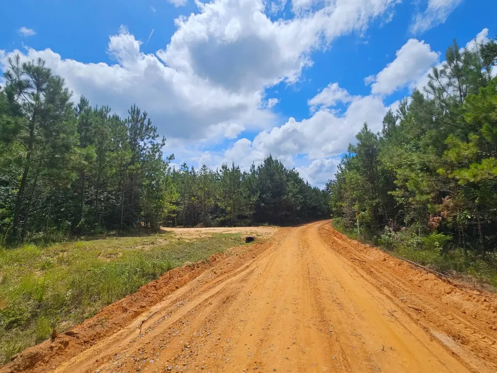 1686 County Road 4 Thomasville AL 36784