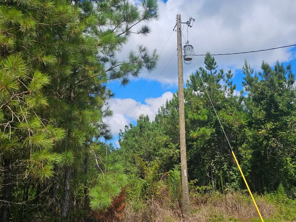 1686 County Road 4 Thomasville AL 36784