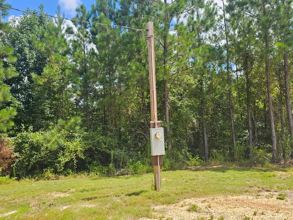 1686 County Road 4 Thomasville AL 36784