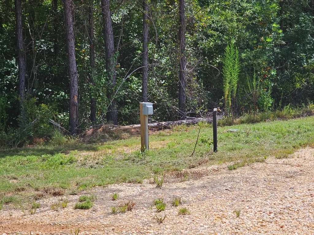 1686 County Road 4 Thomasville AL 36784