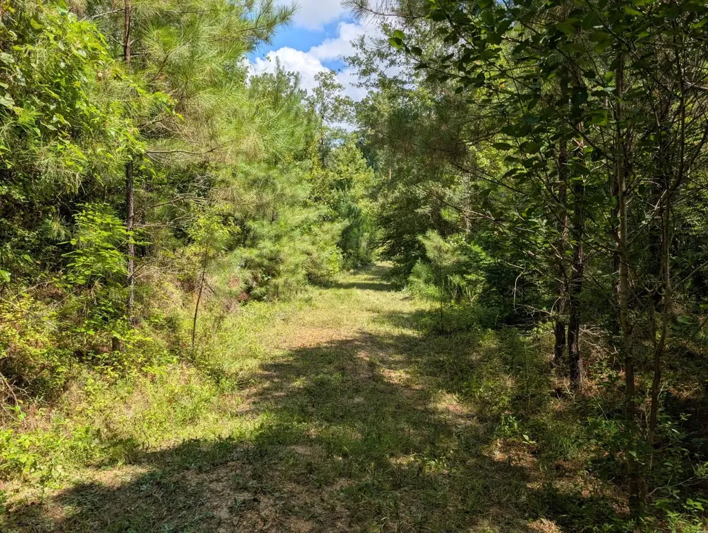 1686 County Road 4 Thomasville AL 36784