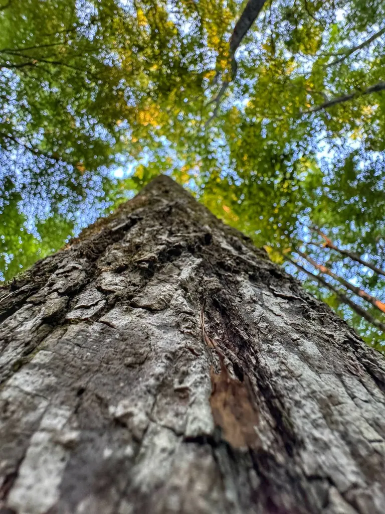 I-22 Us Highway 43 Hamilton AL 35570